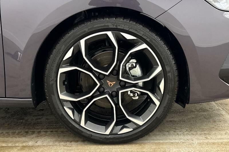 Cupra Leon 1.5 Etsi 150 V2 Dsg Purple #6