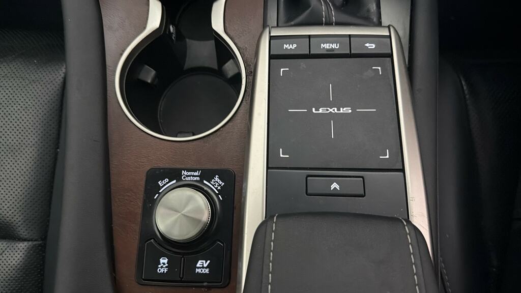 Lexus RX 450H Takumi Silver #19