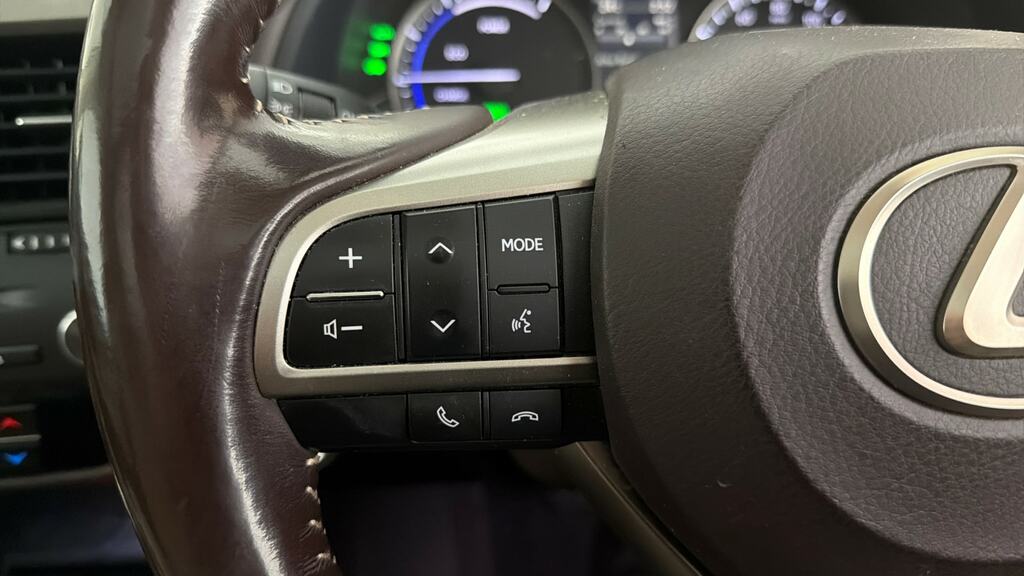 Lexus RX 200T Luxury Panoramic Roof Black #17