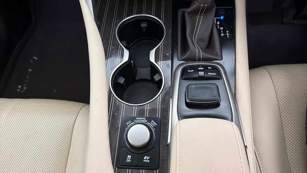 Lexus RX 200T Luxury Panoramic Roof Black #19
