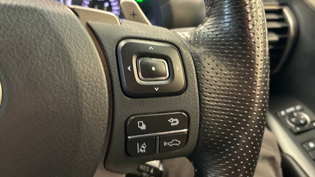Lexus NX 300H 2.5 Luxury Cvt Premium Nav Red #18