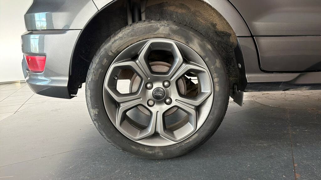 Ford Ecosport 1.0T Ecoboost St-line Grey #24