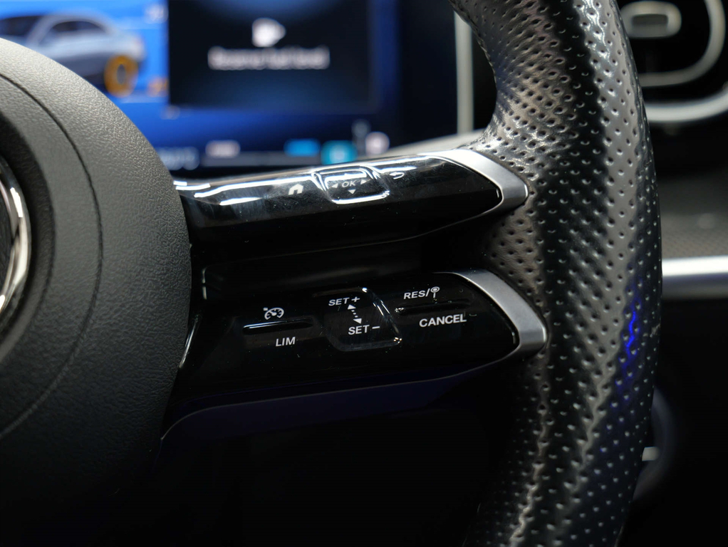 Mercedes-Benz C Class Exclusive Luxury Black #39