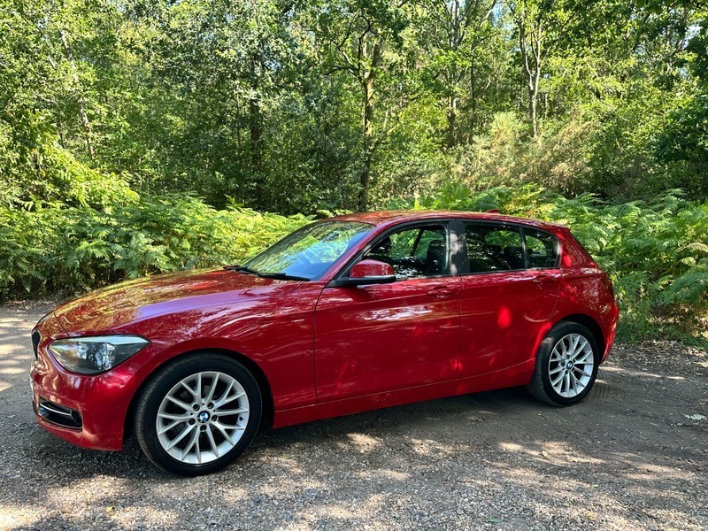 BMW 1 Series 2.0 116D Sport Euro 5 Ss Blue #12