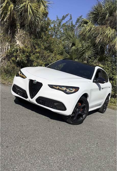 Alfa Romeo Stelvio 2.0 Turbo 280 Tributo Italiano Awd Black #7