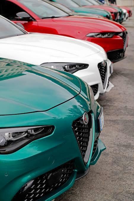 Alfa Romeo Stelvio 2 2.0T Tributo Italiano Suv Q4 Awd Black #6