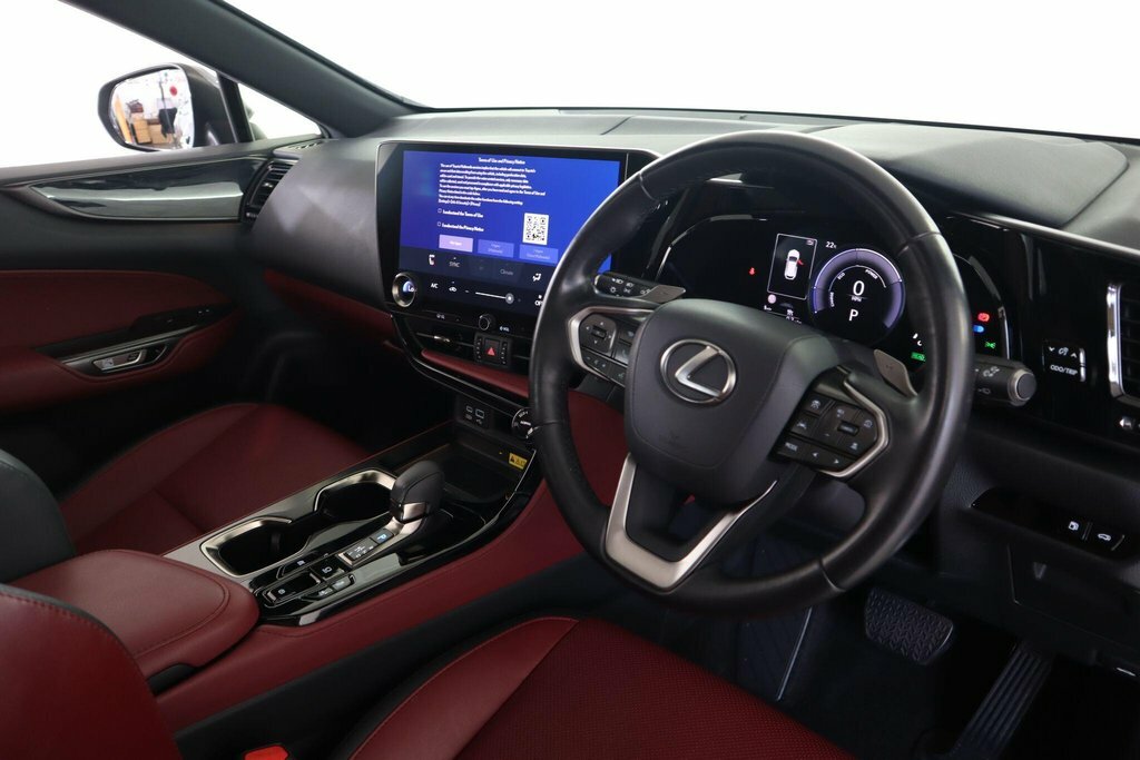 Lexus NX 2.5 450H 18.1Kwh F Sport E-cvt 4Wd Euro 6 Ss 5 Silver #9