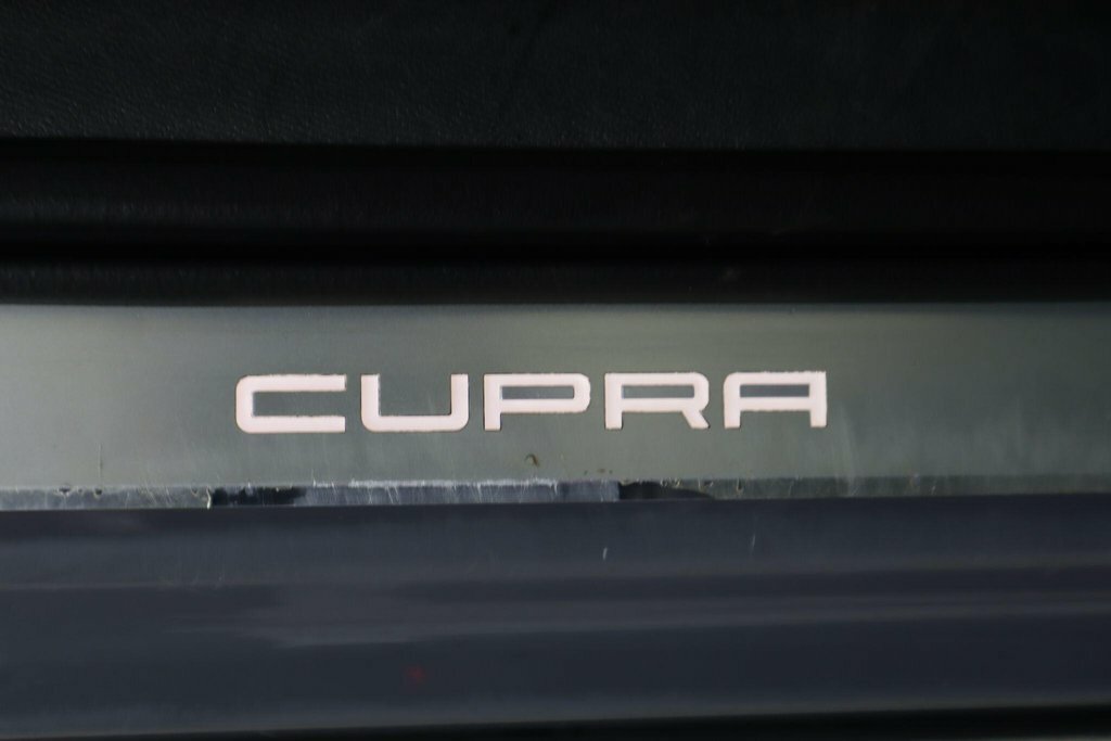 Cupra Formentor 2.0 Tsi 190 V2 Dsg 4Drive Grey #52