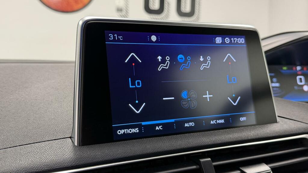Peugeot 5008 Active Grey #21