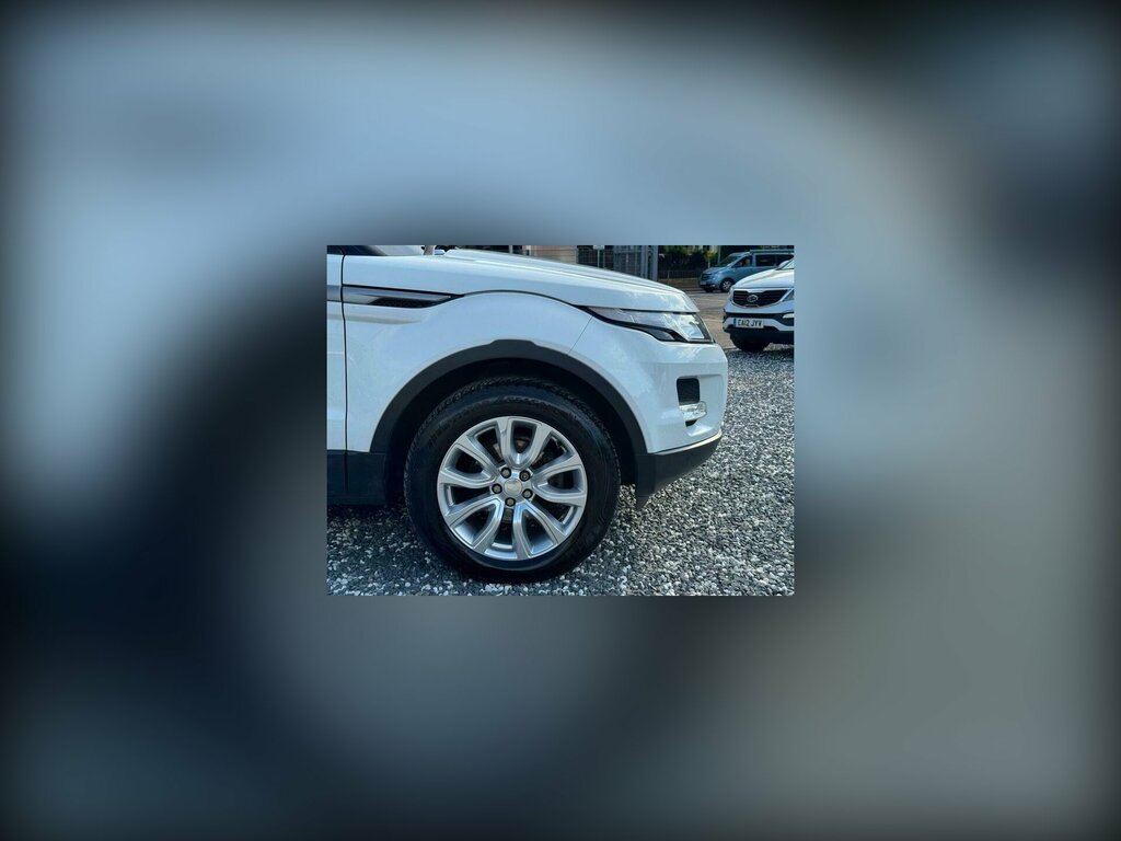 Land Rover Range Rover Evoque 2.2 Sd4 Pure Tech 4Wd Euro 5 Ss White