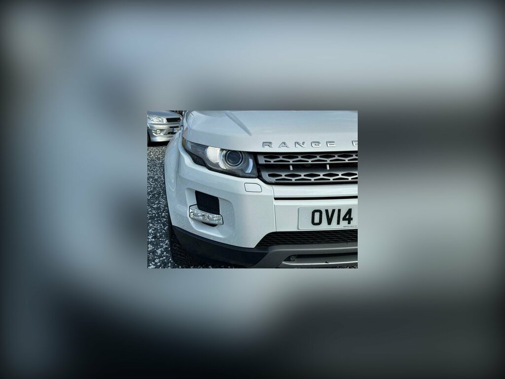 Land Rover Range Rover Evoque 2.2 Sd4 Pure Tech 4Wd Euro 5 Ss White #5