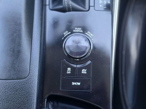 Lexus IS Premier Black #31
