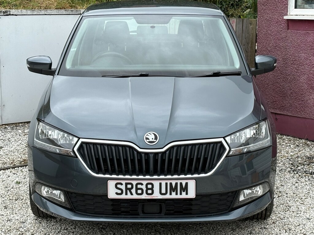 Skoda Fabia 1.0 Mpi 75 Se Grey #2