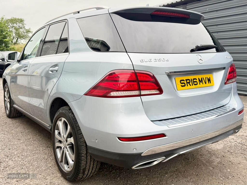 Mercedes-Benz GLE Class Gle 250D 4Matic Sport 9G-tronic Silver #6