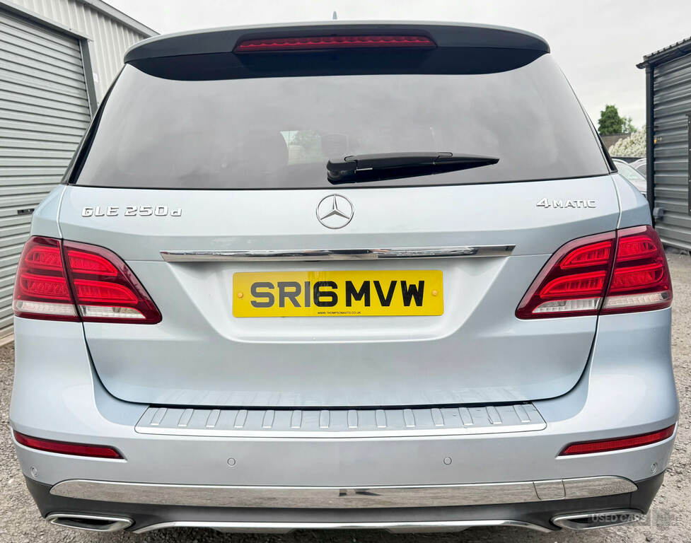 Mercedes-Benz GLE Class Gle 250D 4Matic Sport 9G-tronic Silver #4