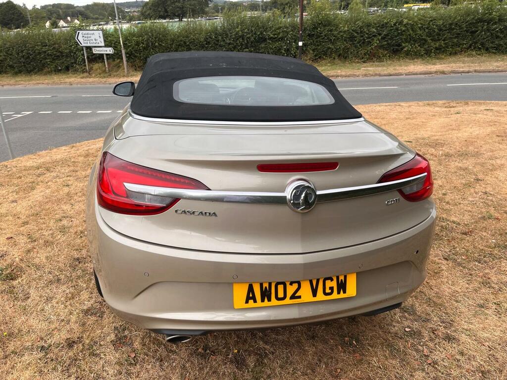 Vauxhall Cascada 1.6I Turbo Elite Euro 6 Silver #18