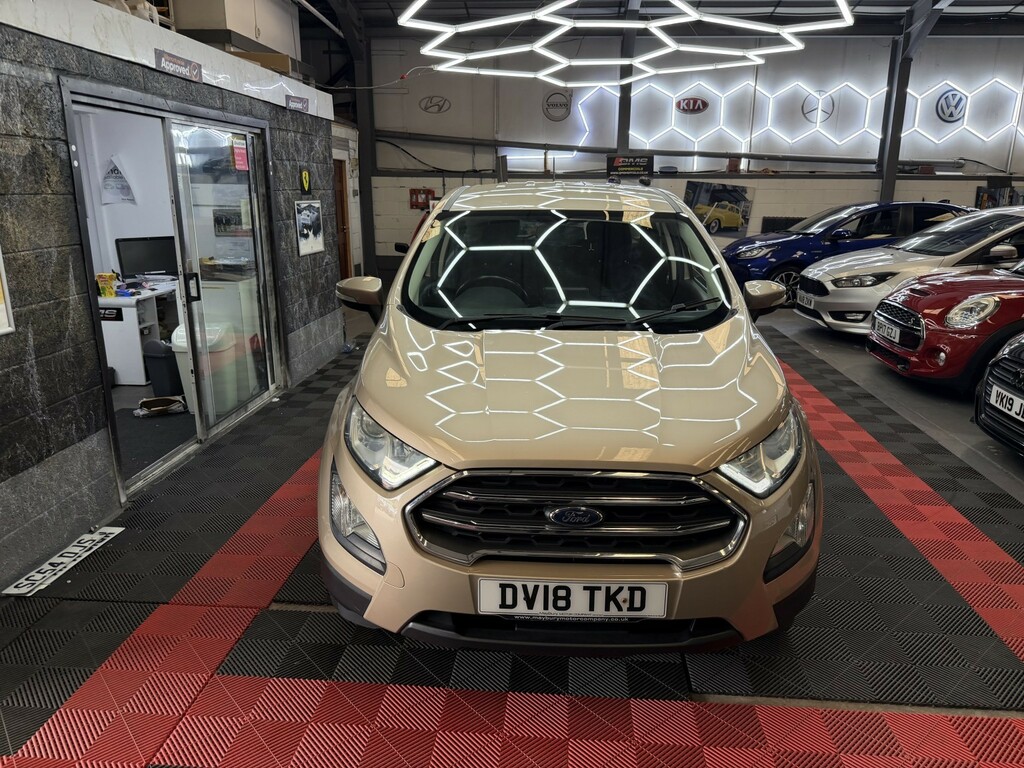 Ford Ecosport 1.0 T Ecoboost Zetec Beige #2