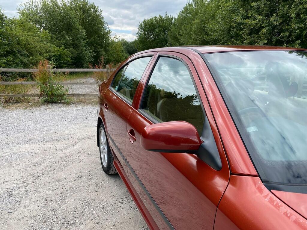 Skoda Octavia 1.9 Tdi Silver #27