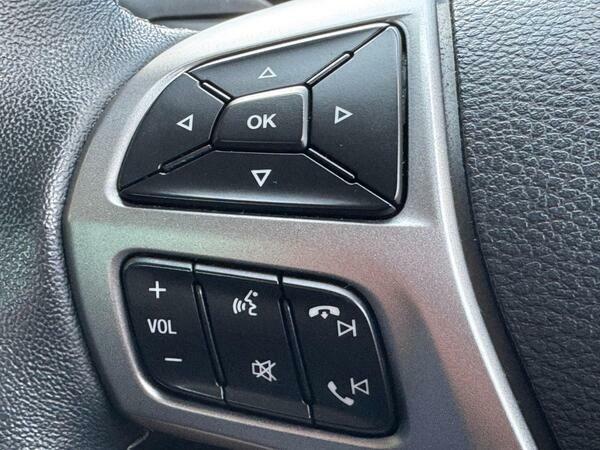 Ford Ranger 2.0 Ecoblue Wildtrak 4Wd Euro 6 Ss Black #24