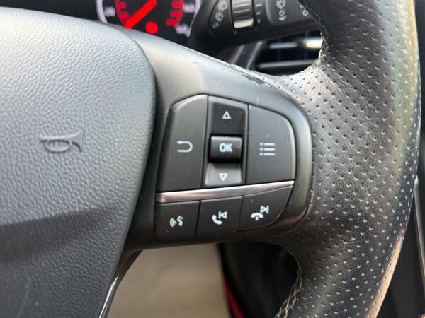 Ford Fiesta 1.5 Ecoboost St-3  #28