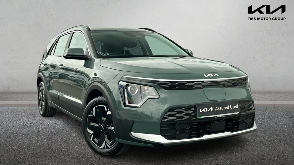 Kia e-Niro 64.8 Kwh 2 Green