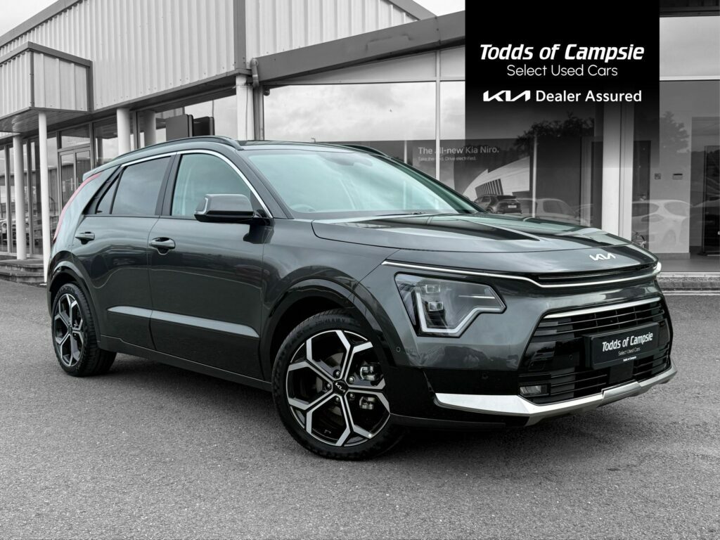 Kia Niro 1.6 Gdi Hev Aspire Grey