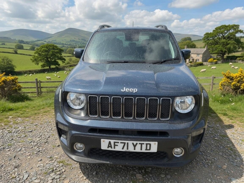 Jeep Renegade 1.0 Gse T3 Longitude Euro 6 Ss Blue #2