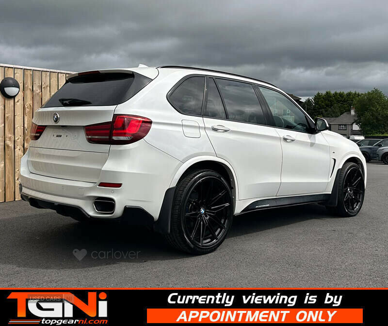 BMW X5 3.0 Xdrive30d Se 255 Bhp White #8