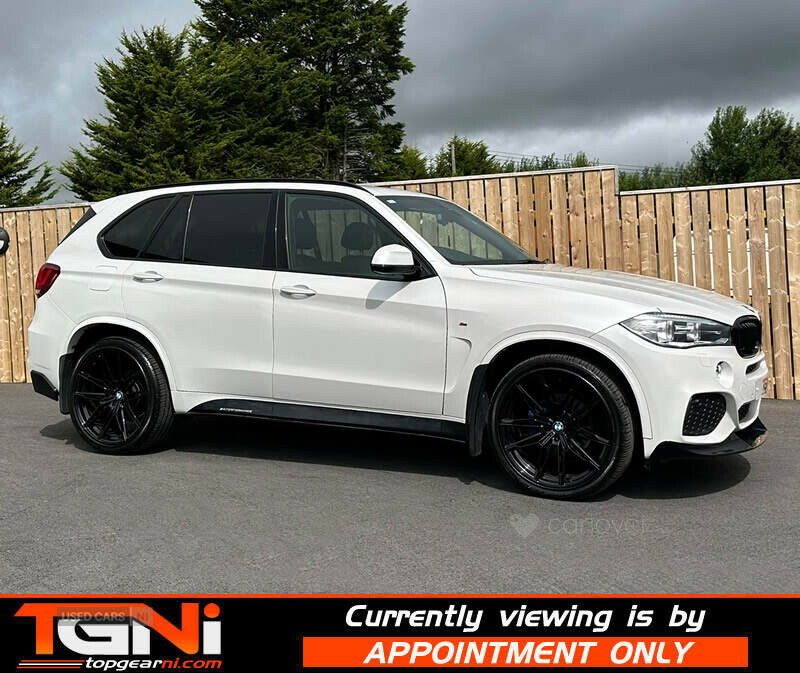 BMW X5 3.0 Xdrive30d Se 255 Bhp White #20