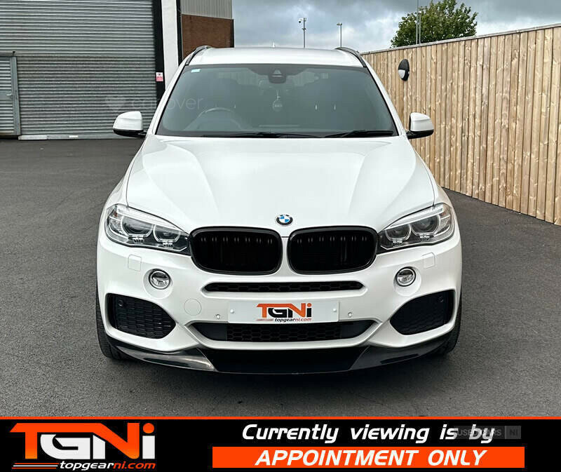 BMW X5 3.0 Xdrive30d Se 255 Bhp White #18