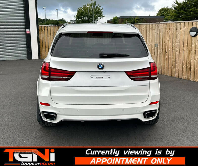 BMW X5 3.0 Xdrive30d Se 255 Bhp White #19