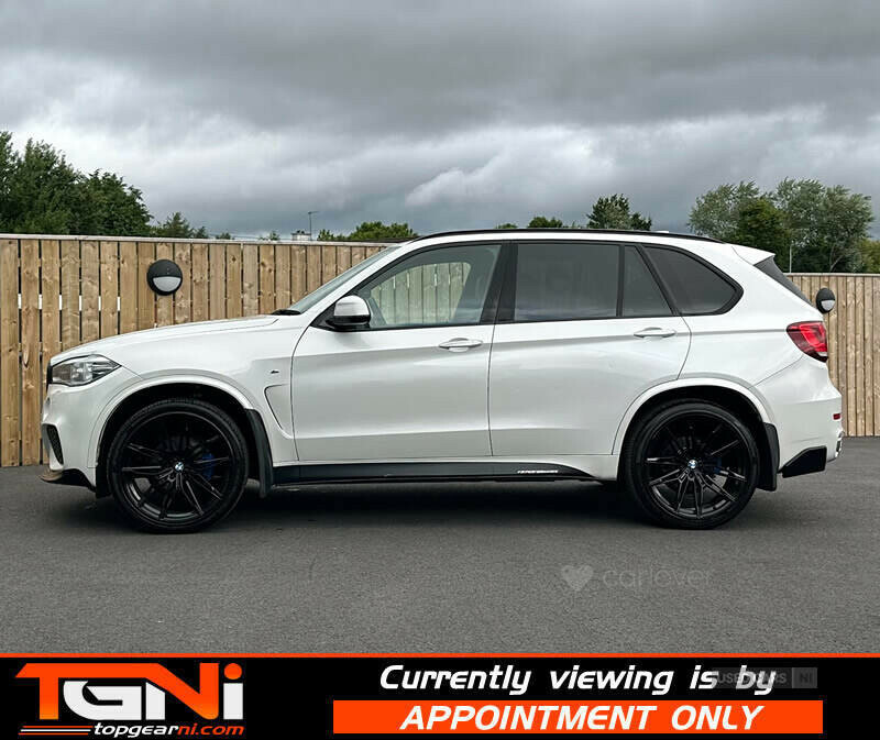BMW X5 3.0 Xdrive30d Se 255 Bhp White #9