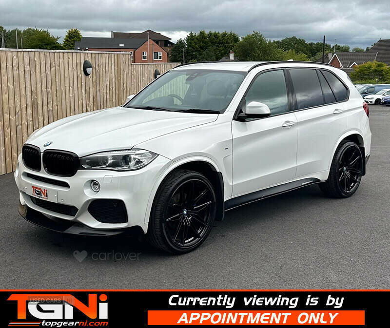 BMW X5 3.0 Xdrive30d Se 255 Bhp White #16