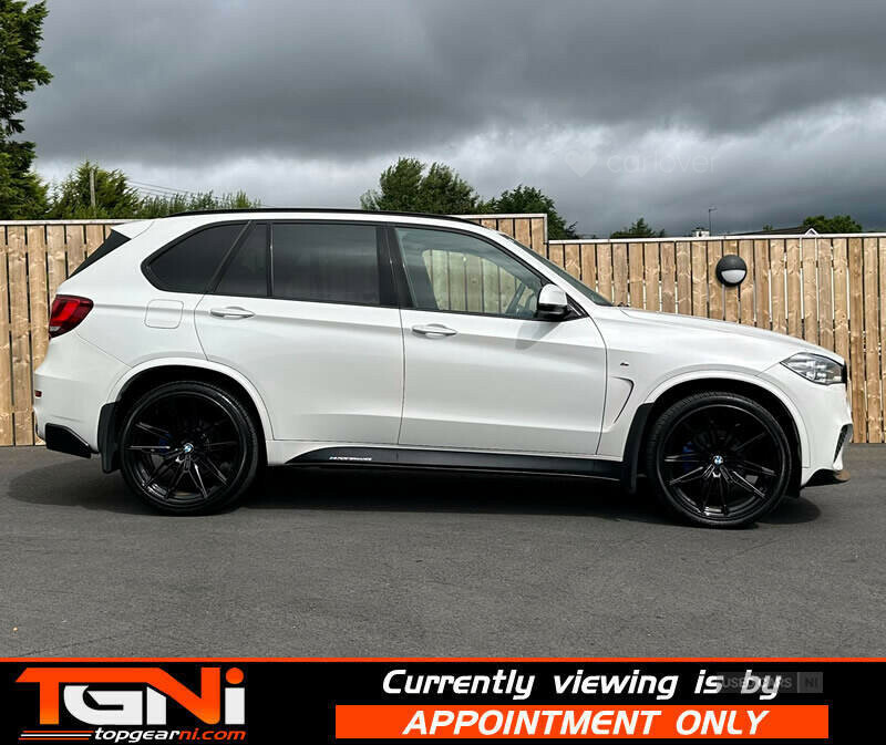 BMW X5 3.0 Xdrive30d Se 255 Bhp White #15