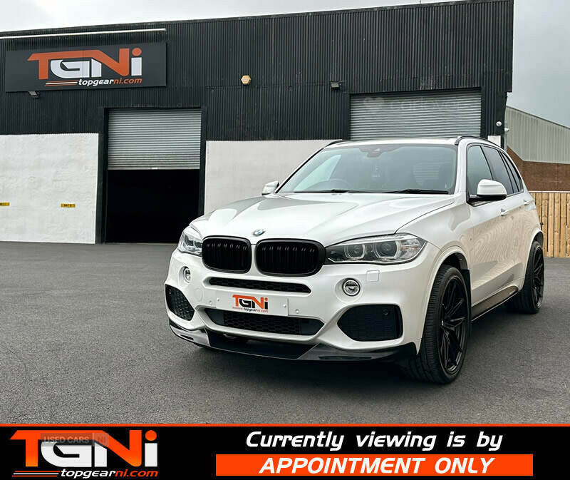 BMW X5 3.0 Xdrive30d Se 255 Bhp White #27