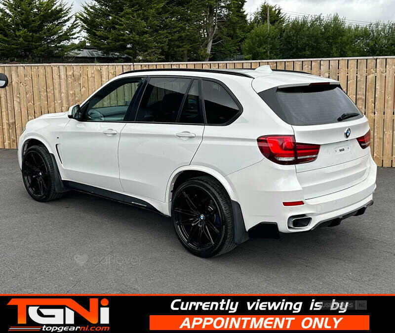BMW X5 3.0 Xdrive30d Se 255 Bhp White #31