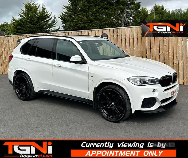 BMW X5 3.0 Xdrive30d Se 255 Bhp White #32