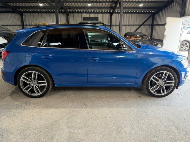 Audi SQ5 3.0 Bitdi V6 Tiptronic Quattro Euro 5 S S Blue