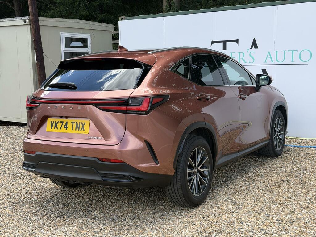 Lexus NX Suv 2021 - Brown #5