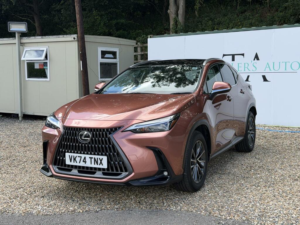 Lexus NX Suv 2021 - Brown