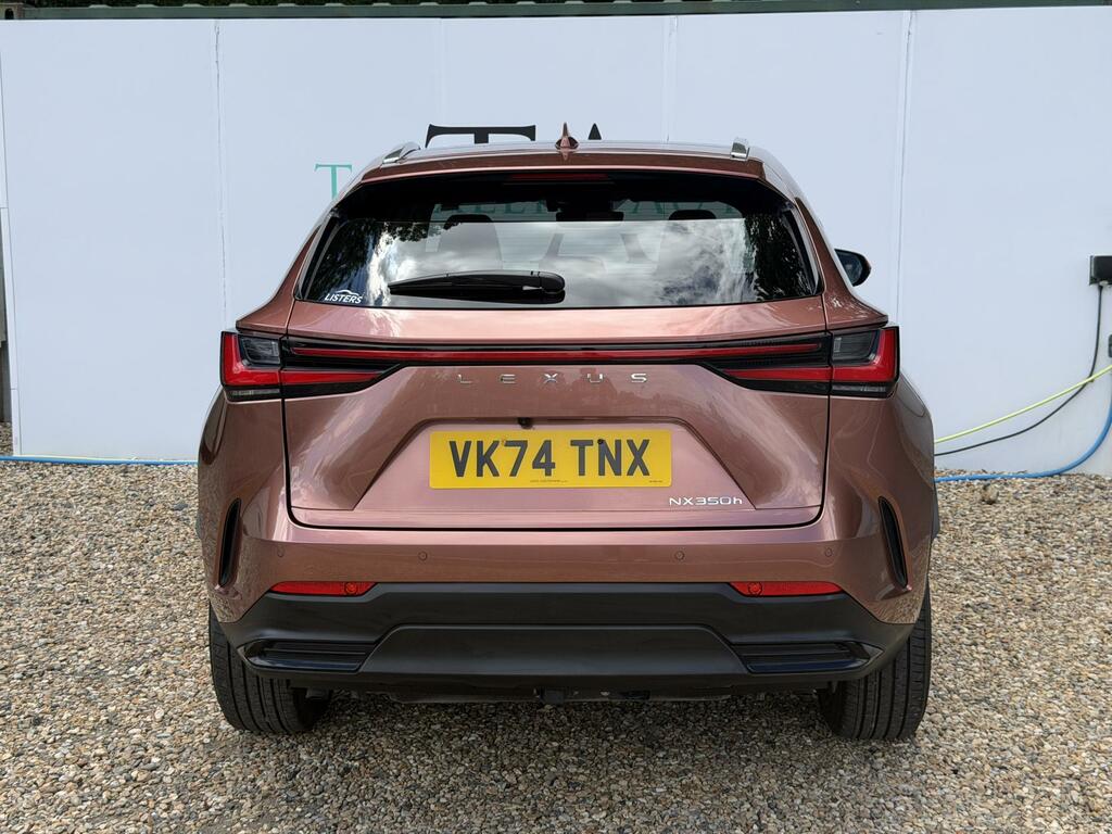 Lexus NX Suv 2021 - Brown #3
