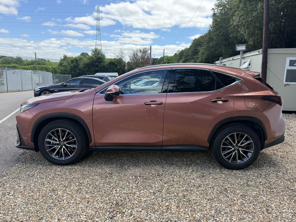 Lexus NX Suv 2021 - Brown #2