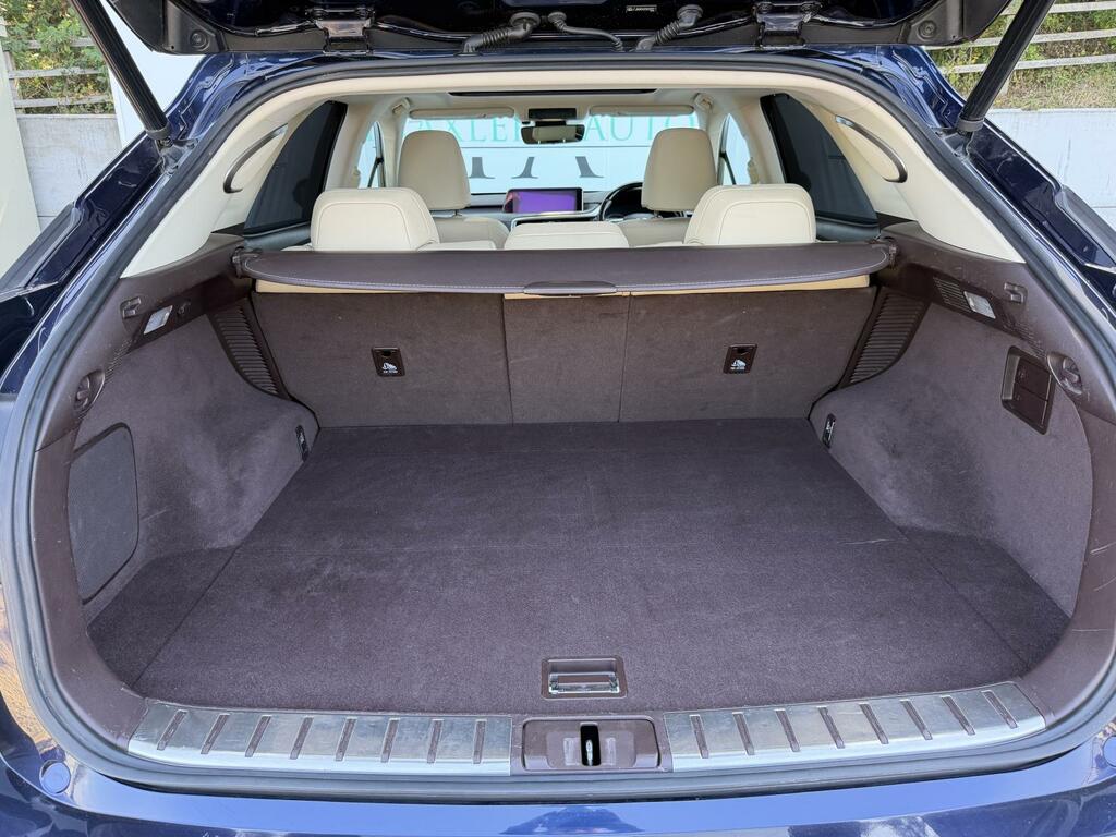 Lexus RX Luxury White #10