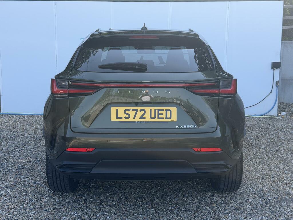 Lexus NX Suv 2021 - Green #6