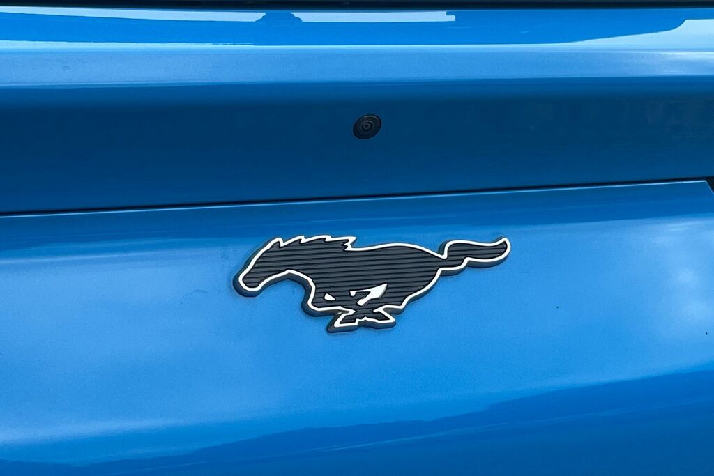 Ford Mustang Mach-E Standard Range Black #36