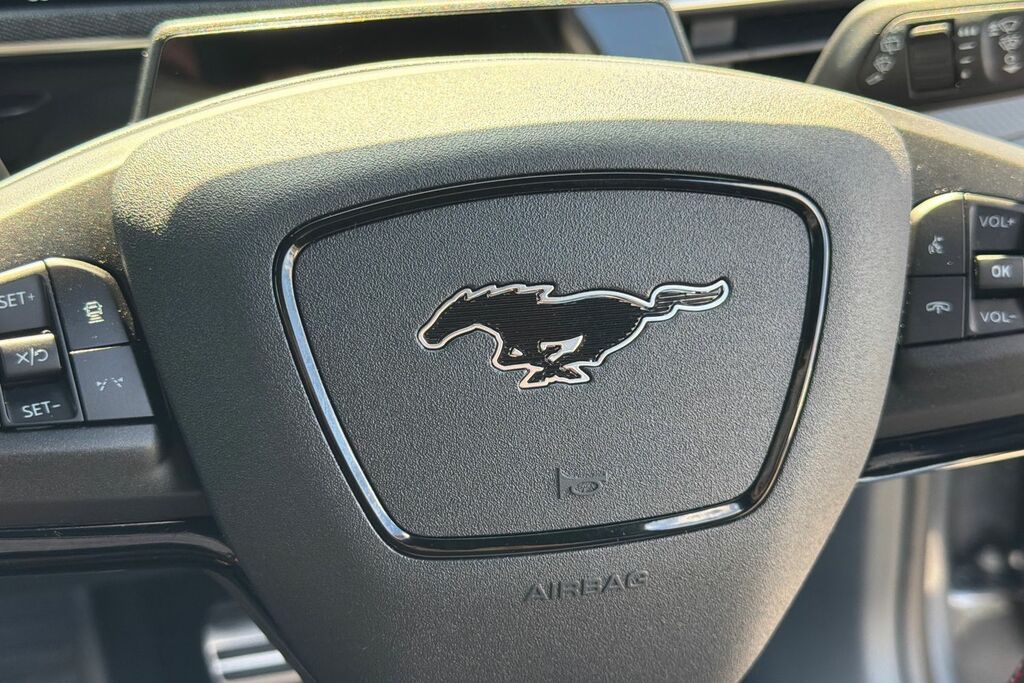 Ford Mustang Mach-E 358Kw Gt 91Kwh Awd Rally Pack Black #28