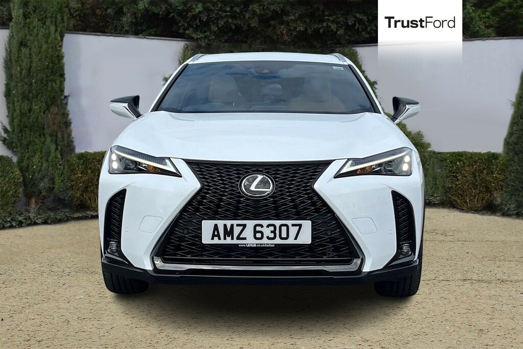 Lexus UX 2.0 250H F Sport Design Suv White #6