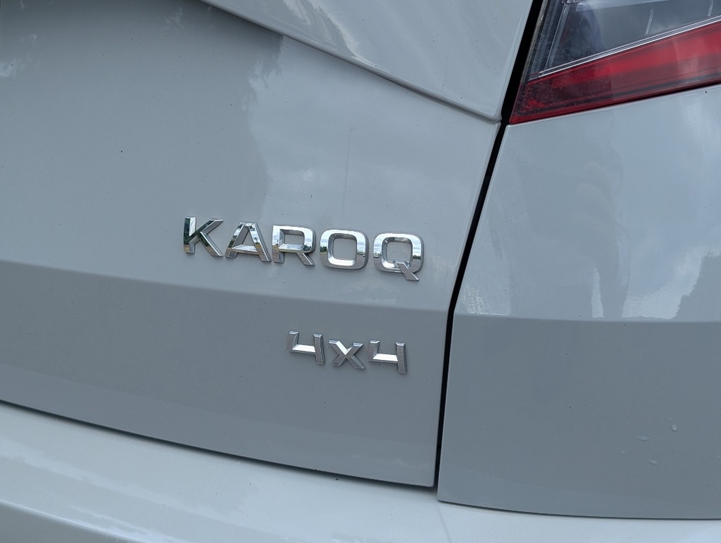 Skoda Karoq Se Tsi Silver #9