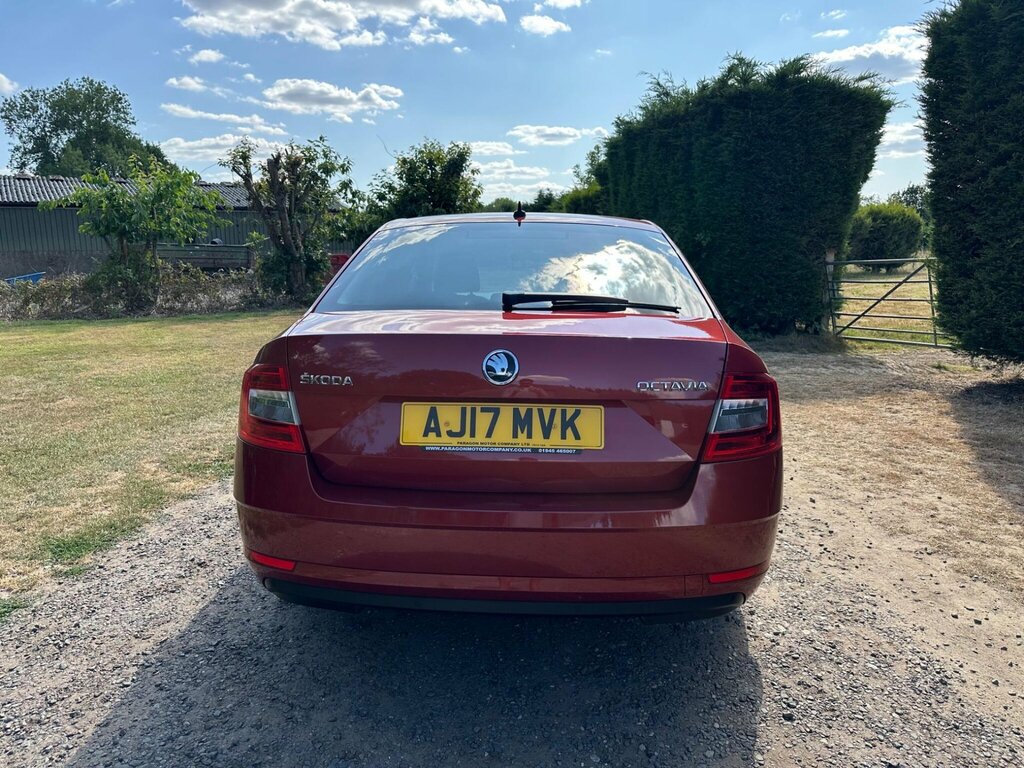 Skoda Octavia 1.4 Tsi Se L Euro 6 Ss Red #6