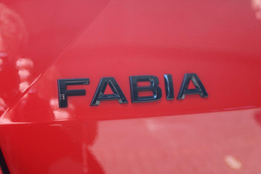Skoda Fabia Se Grey #33
